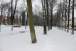resIMG_20111214_0784.JPG